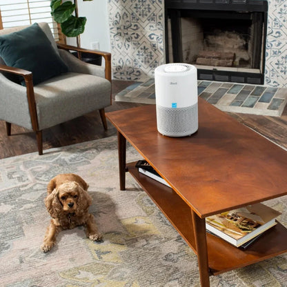 Air Purifier for Allergies and Asthma, 457 Sq ft., H13 True HEPA Filter, Gray  smart