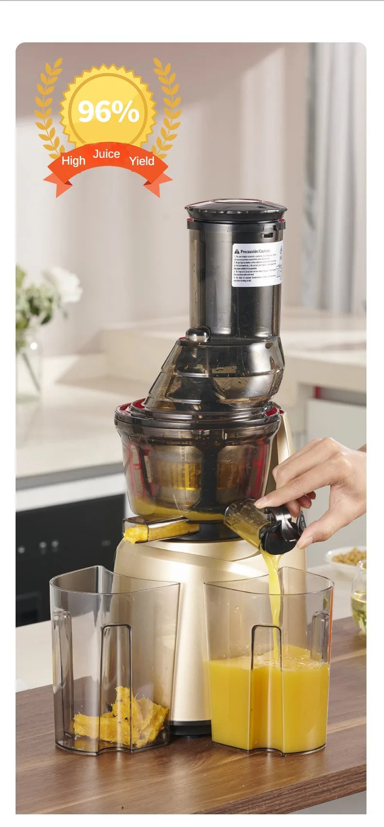 Slow Masticating Juicer Cold Press, Filter-Free Easy Wash, Residue Separation, 110V or 220V