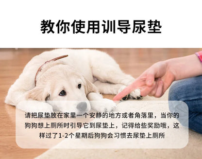 4-layer High Quality Pet Dog Bed Pet Diaper Reusable Dog Pee Pad High Absorbent Diaper Pad Whelping Mat Soft Kennels Pad Cat Mat