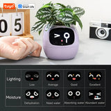 AI Smart Planter – Fun & Easy Plant Care