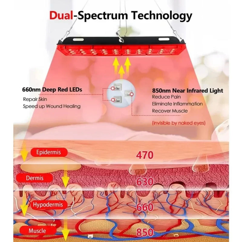  Dual-spectrum red and infrared therapy diagram showing LED light effect on epidermis, dermis, hypodermis, and muscle tissue