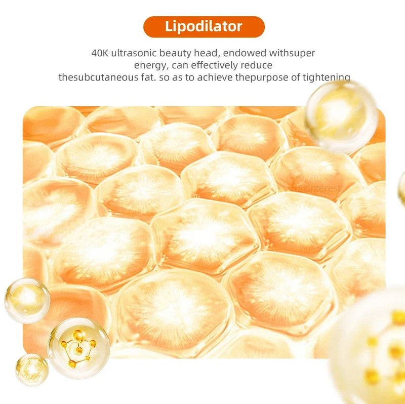 Ultrasonic lipodilation process showing reduction of subcutaneous fat for skin tightening